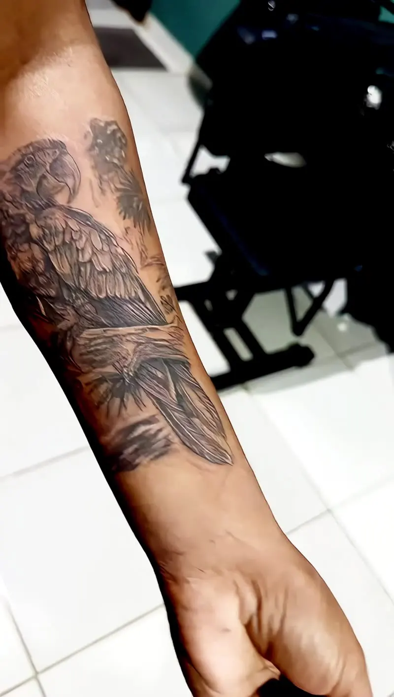 Tatuagem realista colorida de arara no antebraço